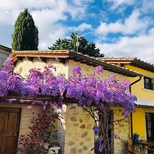 Il Cortile Delle Rose House Holiday home